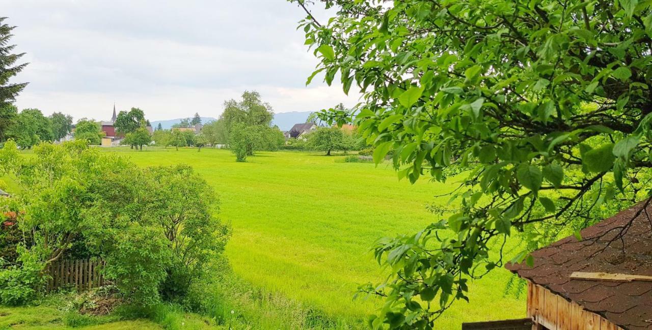 Haus Am Bodensee Fussach 외부 사진